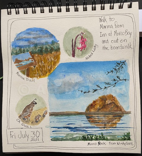 A collage that includes watercolors and ink of a marina trail, a naked lady flower, a california quail with two chicks and the Rock and ocean in Morro Bay.