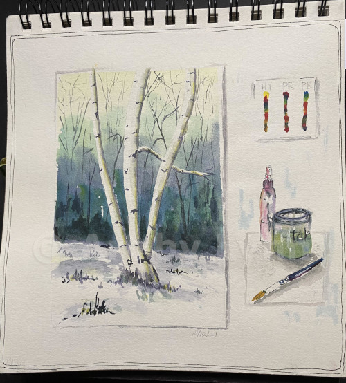 Watercolor and ink of a painter’s subject image of a birch tree in snow, color palette samples and paint brush and paint wash.