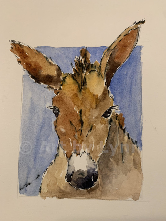 Watercolor painting of a donkey.