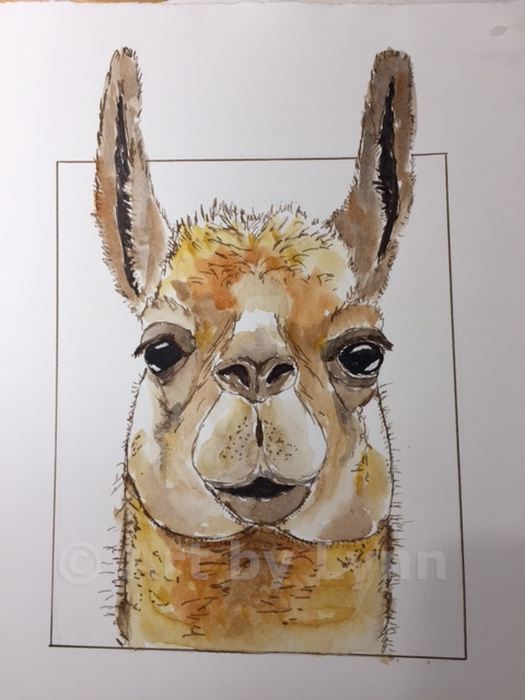Watercolor and ink of a llama’s face.
